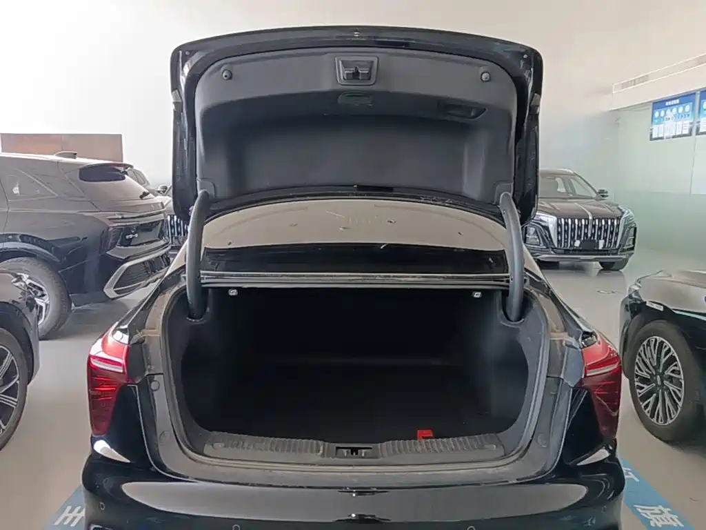 Hongqi Hongqi H5 PHEV — миниатюра 19