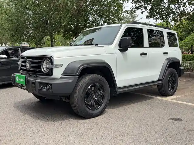 2022 TANK 300