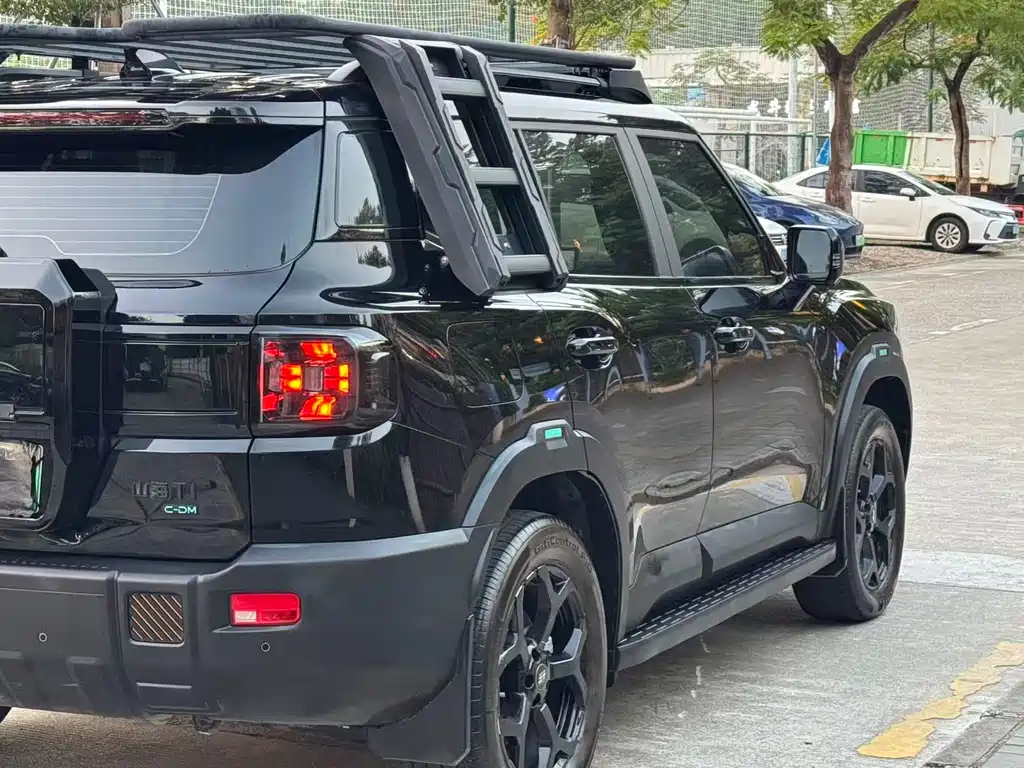 Shanhai Shanhai T1 — миниатюра 18
