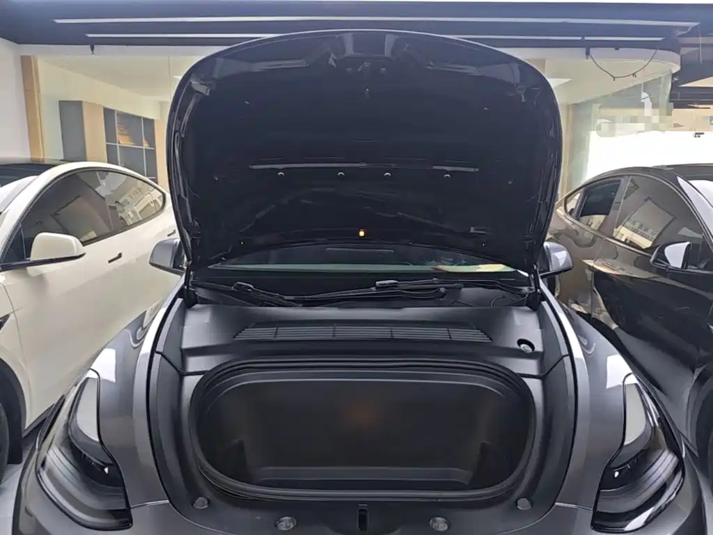 Tesla Model Y — миниатюра 20
