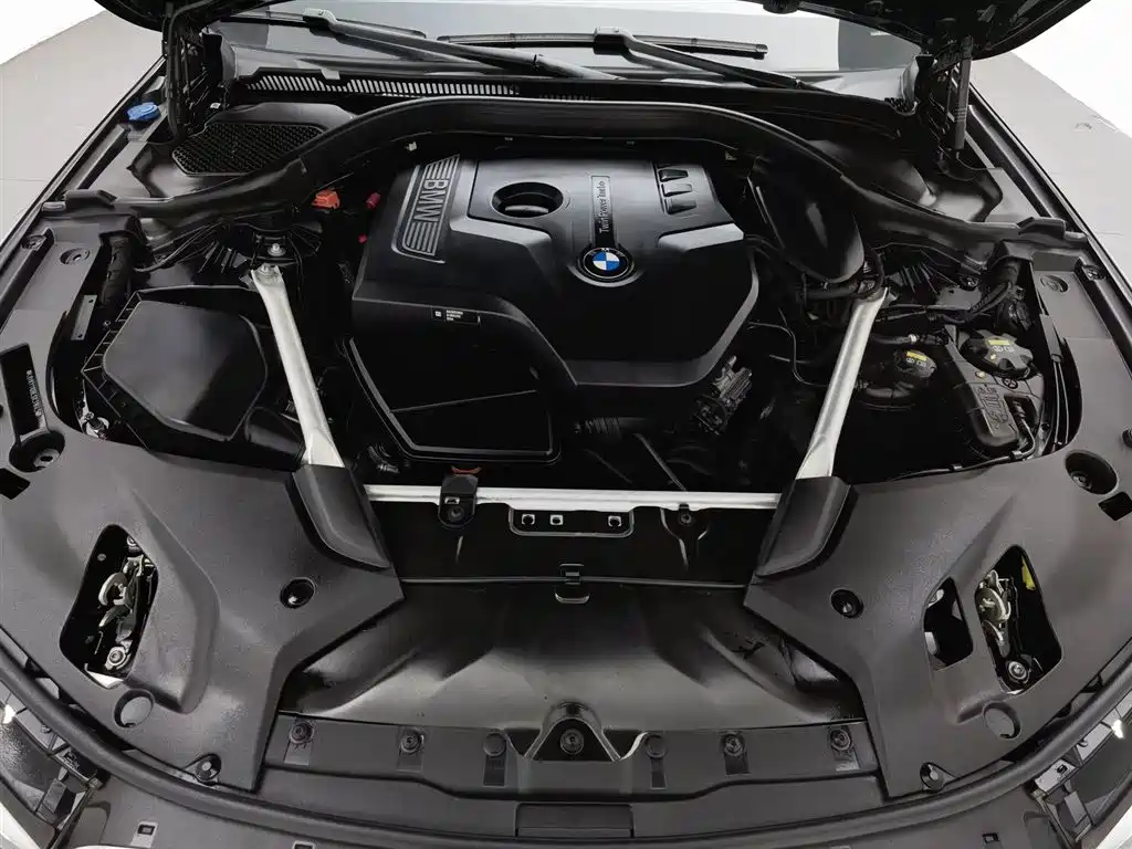 BMW 5 Series 5 2020 525Li Luxury