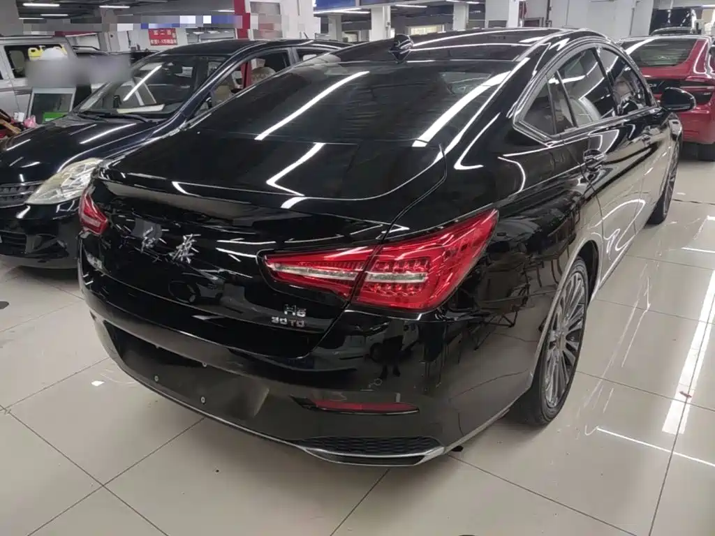 Hongqi Hongqi H5 — миниатюра 7