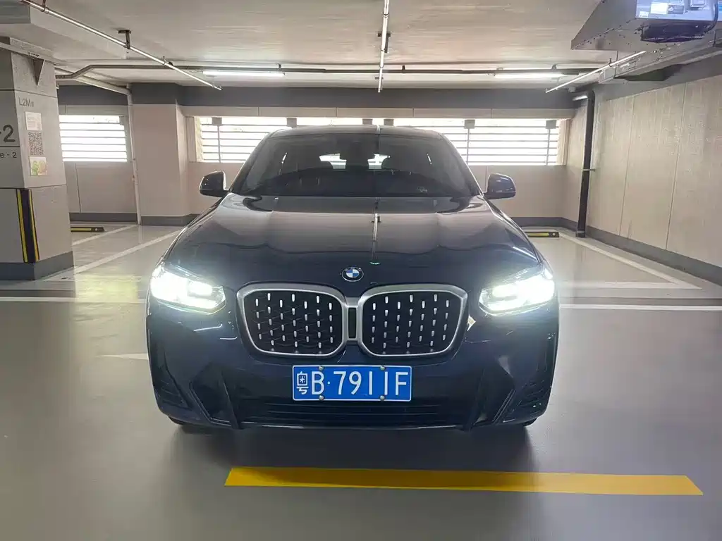 BMW X4 — миниатюра 2