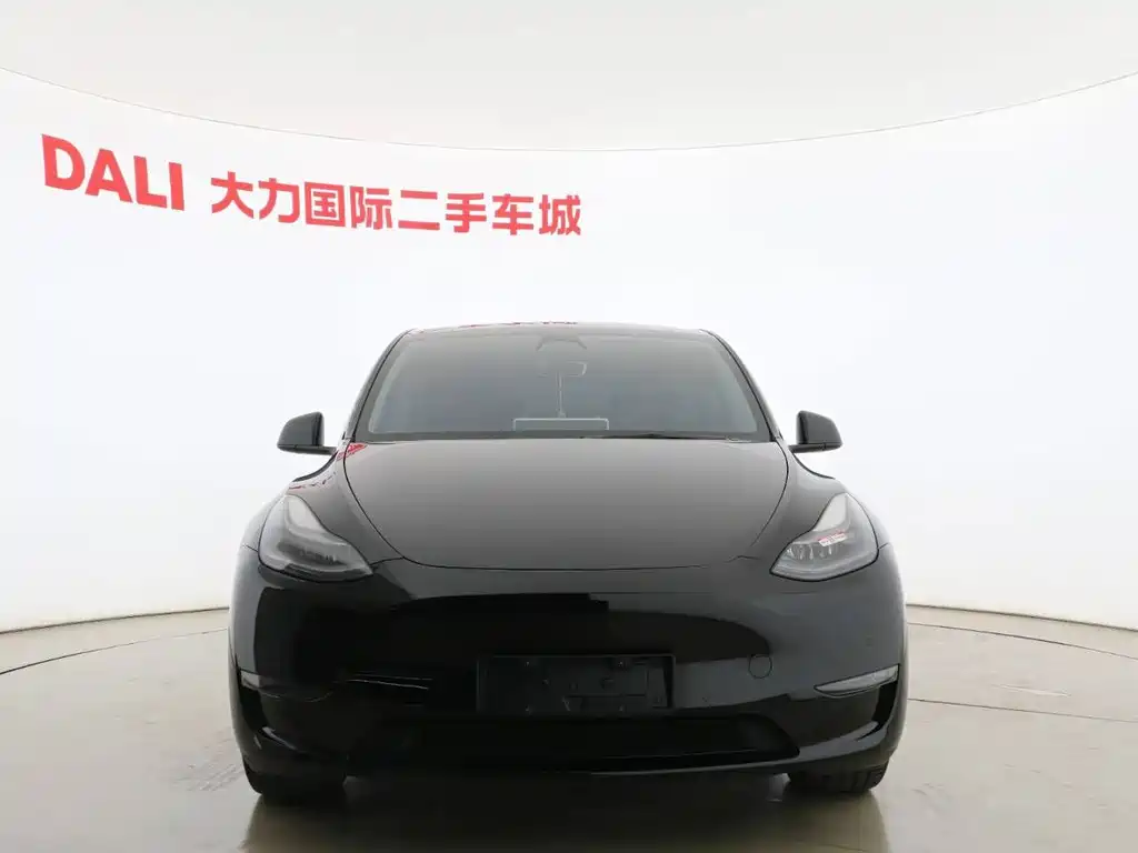 Tesla Model Y — миниатюра 6