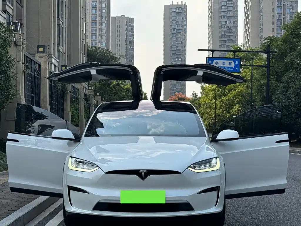 Tesla Model X — миниатюра 4