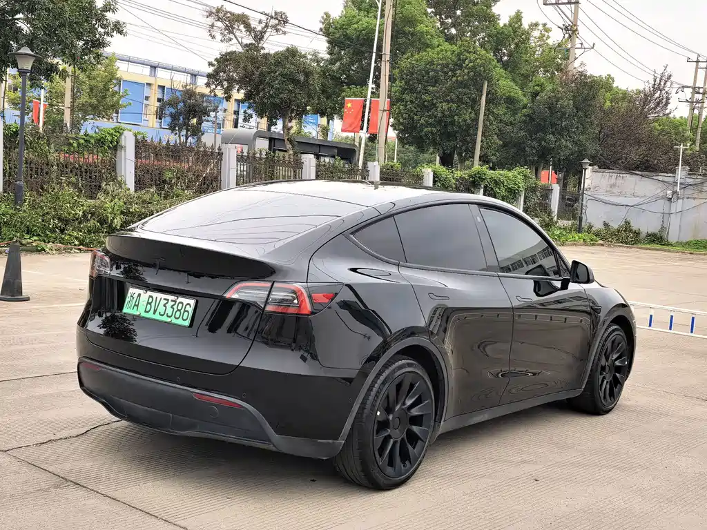 Tesla Model Y — миниатюра 4