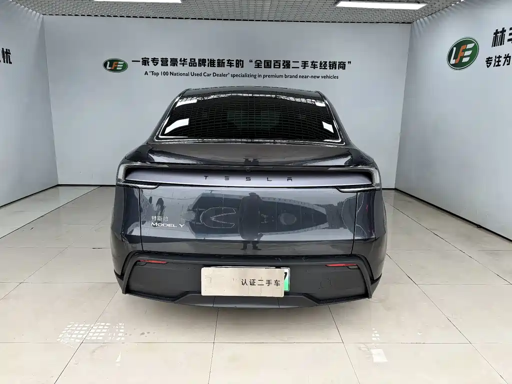 Tesla Model Y — миниатюра 5