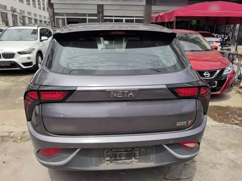 Neta Neta V — миниатюра 6