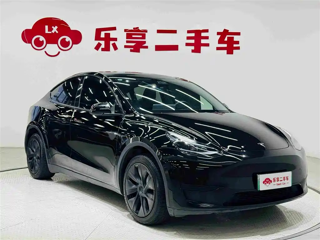 Tesla Model Y — миниатюра 7