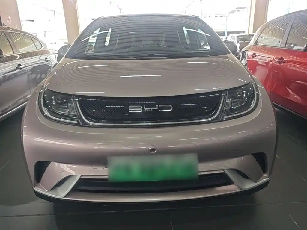 BYD Dolphin — миниатюра 3