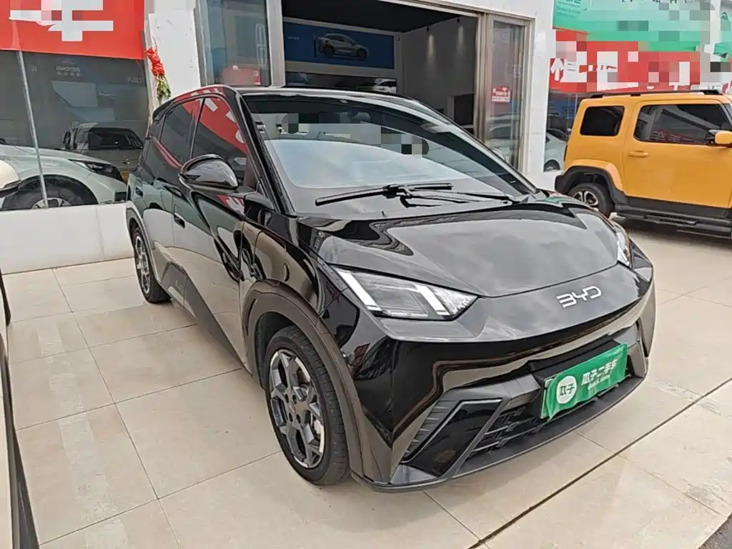 BYD Seagull 2024 305km Freedom