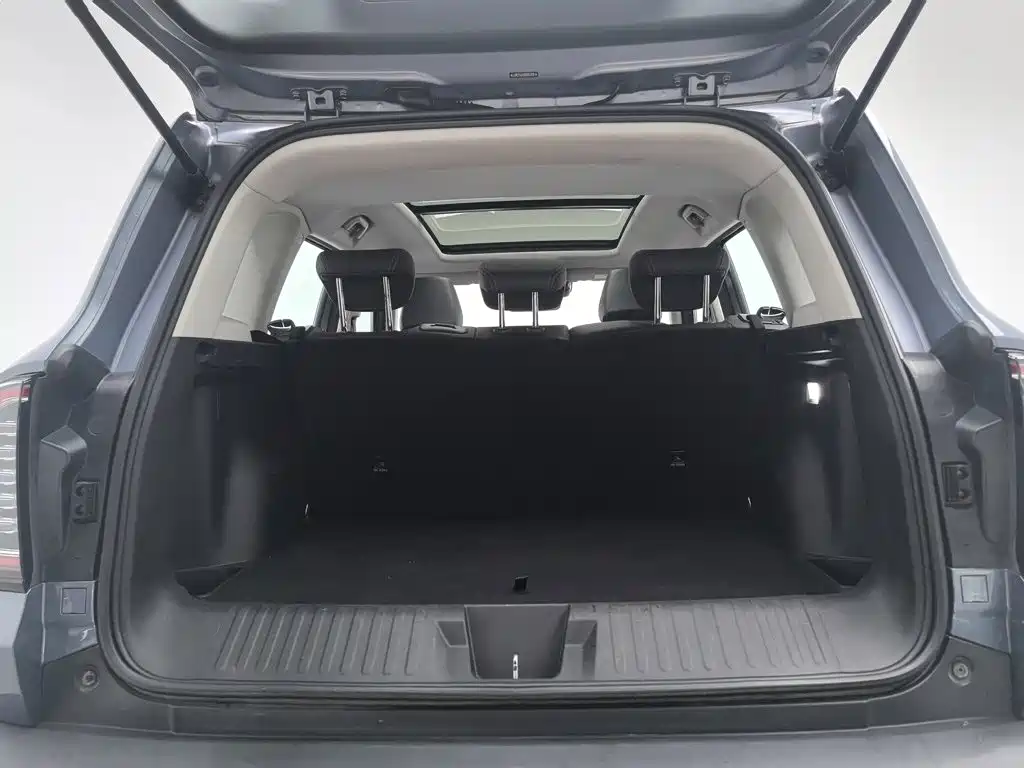 Haval Big Dog — миниатюра 16