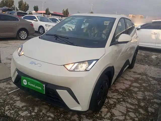 BYD SEAGULL 2024