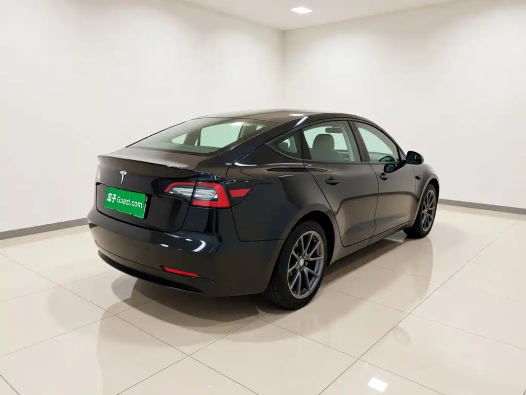 Tesla Model 3 — миниатюра 6
