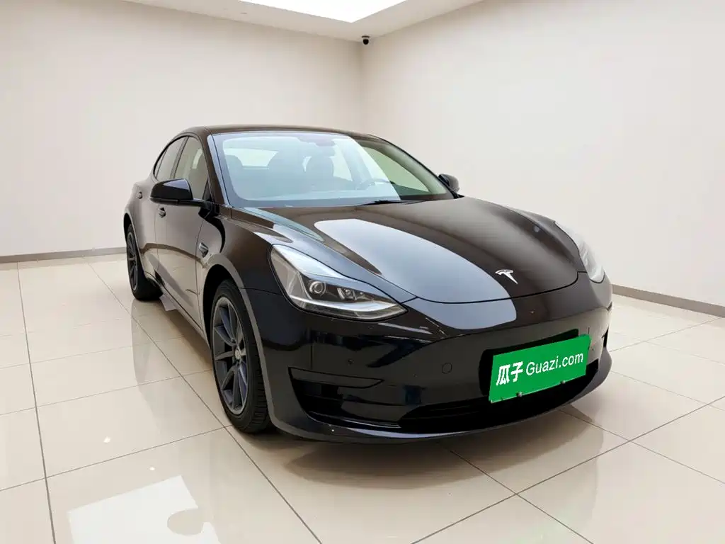 Tesla Model 3 — миниатюра 3