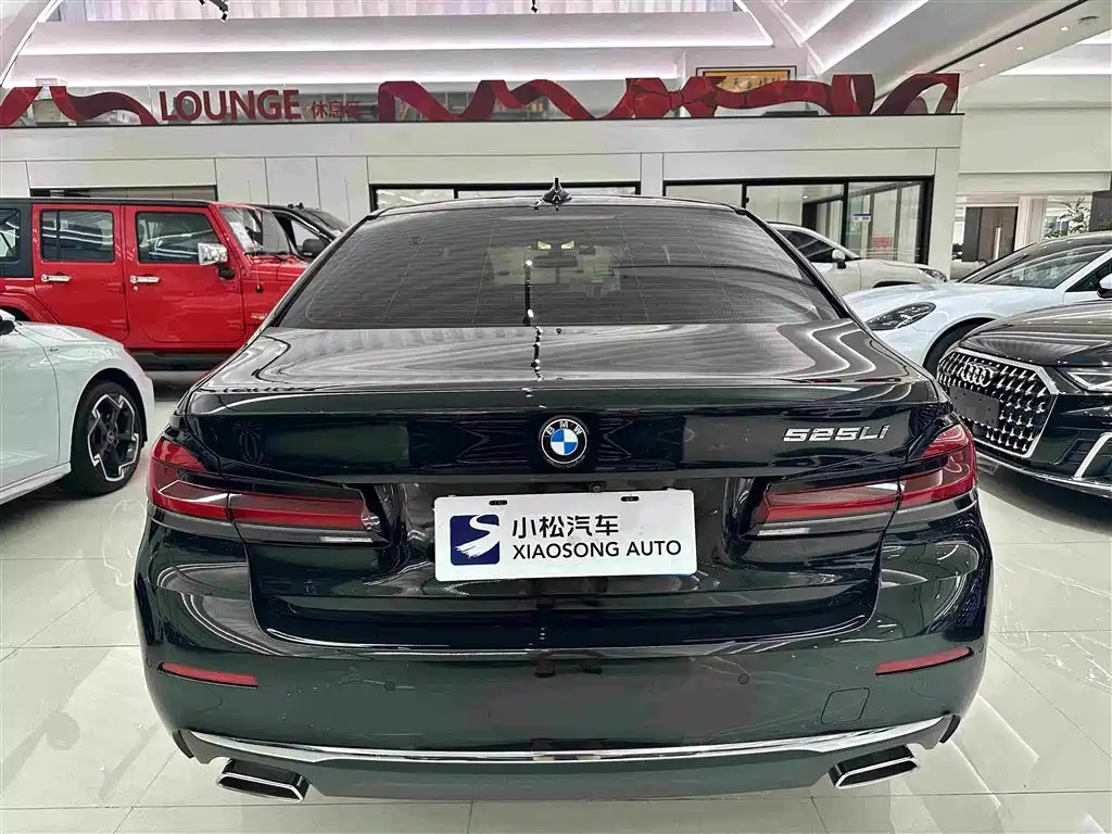 BMW 5 Series — миниатюра 21