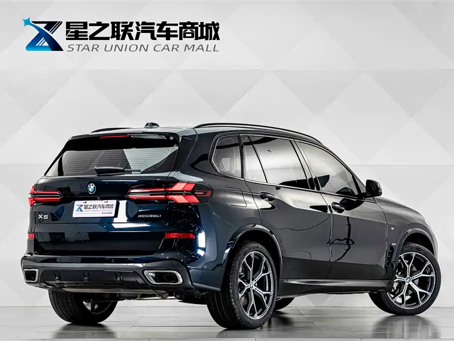 BMW X5 — миниатюра 6
