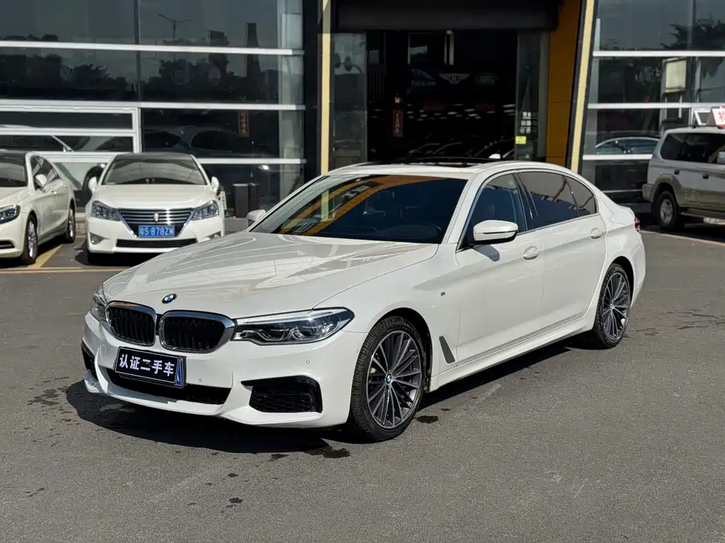 BMW 5 SERIES