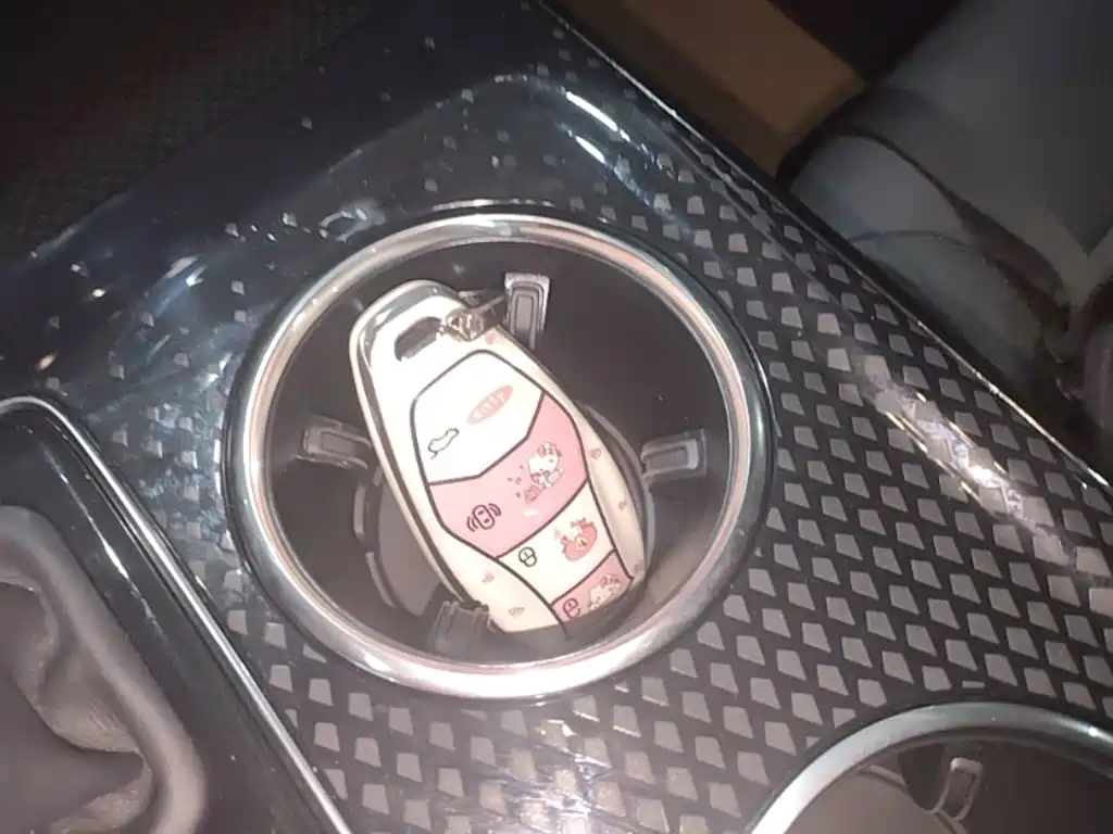 Hongqi HS3 PHEV 2024 115km