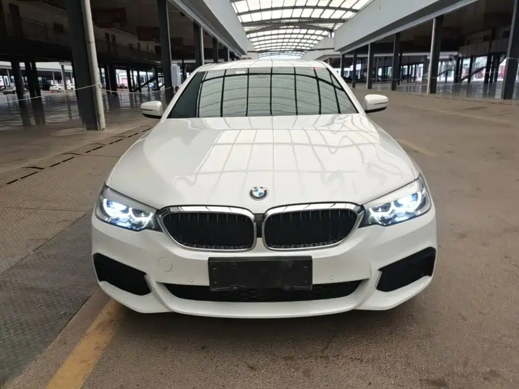 BMW 5 Series 5 2020 525Li M Sport