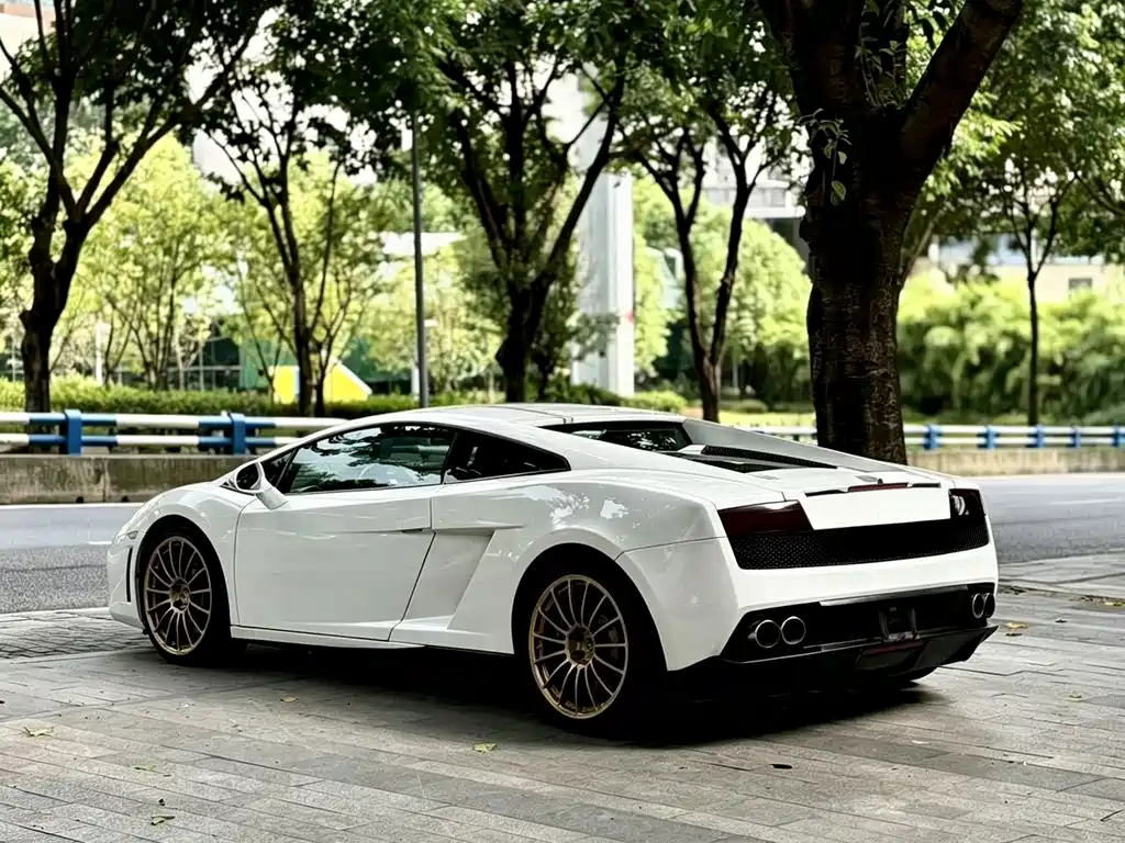 Lamborghini Gallardo — миниатюра 16