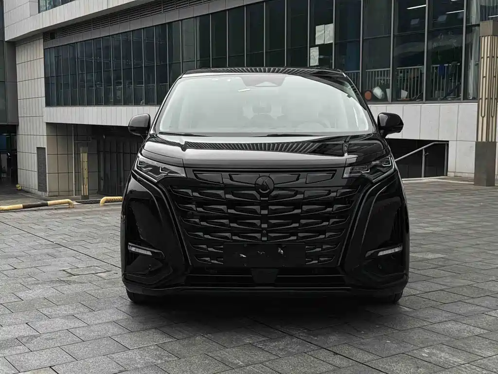 Denza Denza D9 — миниатюра 2