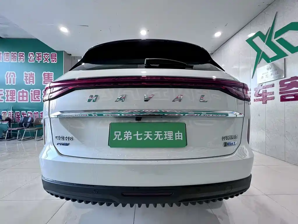 HAVAL H6 NEW ENERGY