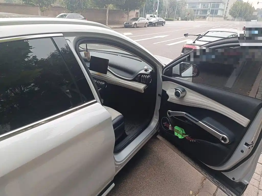 BYD Yuan Plus — миниатюра 19