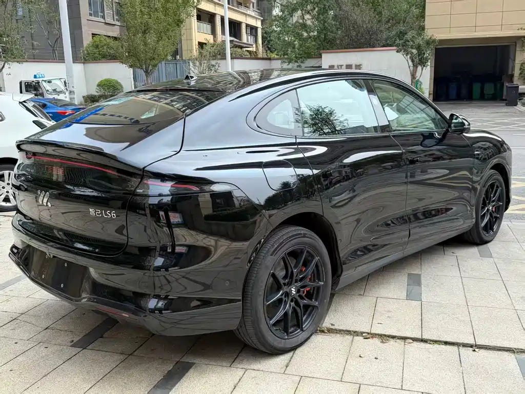 IM IM LS6 — миниатюра 8