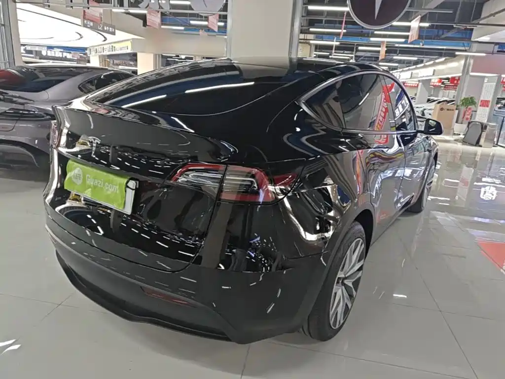 Tesla Model Y — миниатюра 7