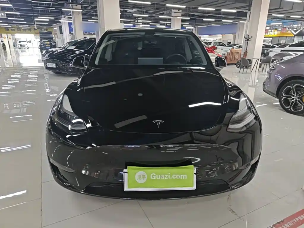 Tesla Model Y — миниатюра 3