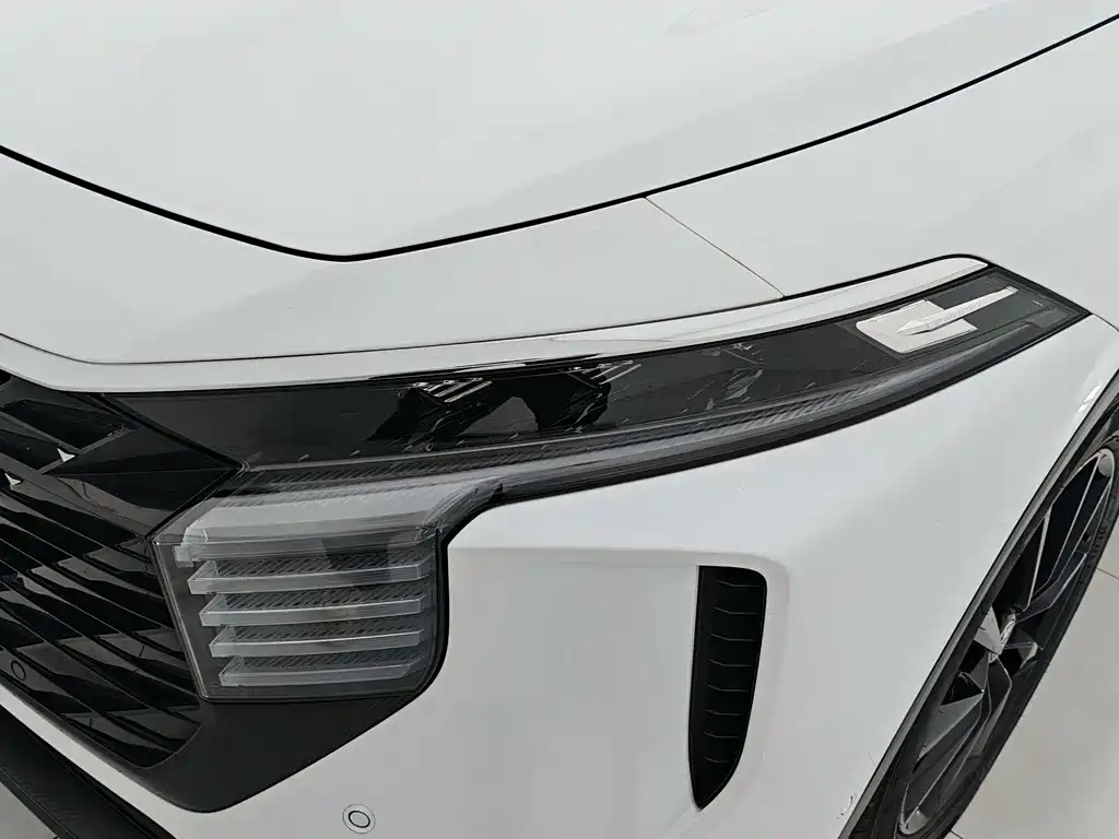 Venucia V 2022 260T