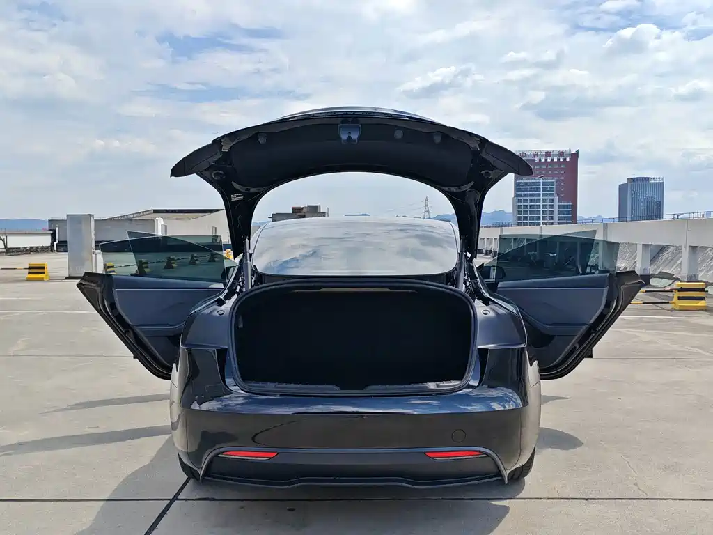Tesla Model 3 — миниатюра 10