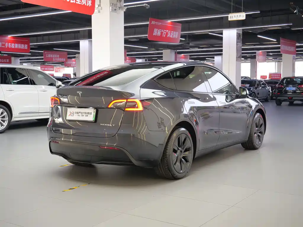 Tesla Model Y — миниатюра 6