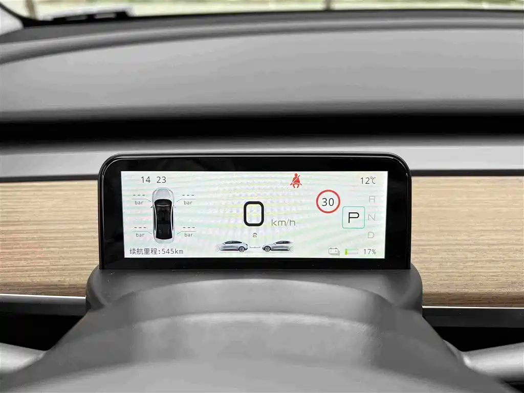 Tesla Model Y — миниатюра 18