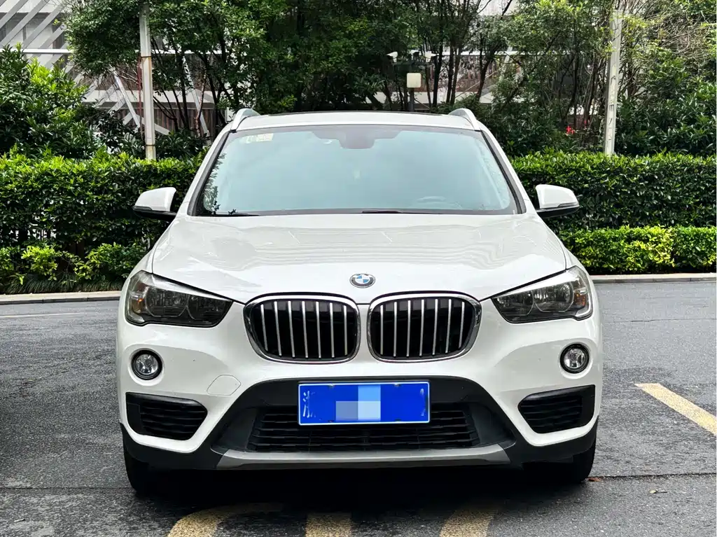 BMW X1 2019 sDrive18Li Fashion