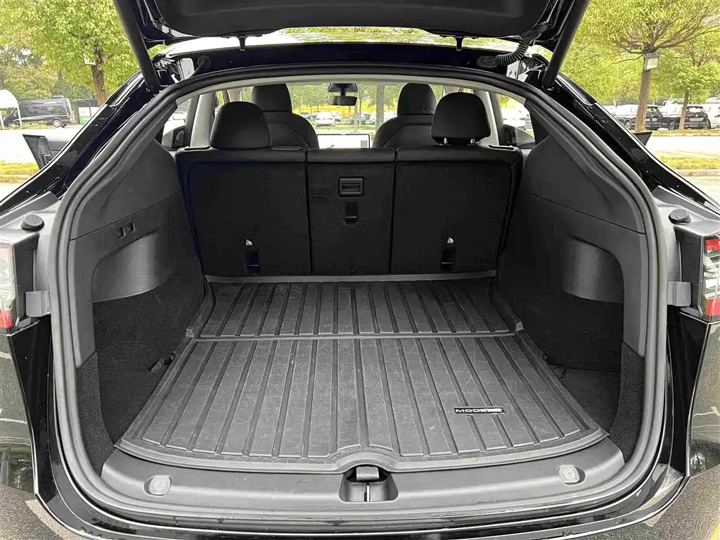 Tesla Model Y — миниатюра 26