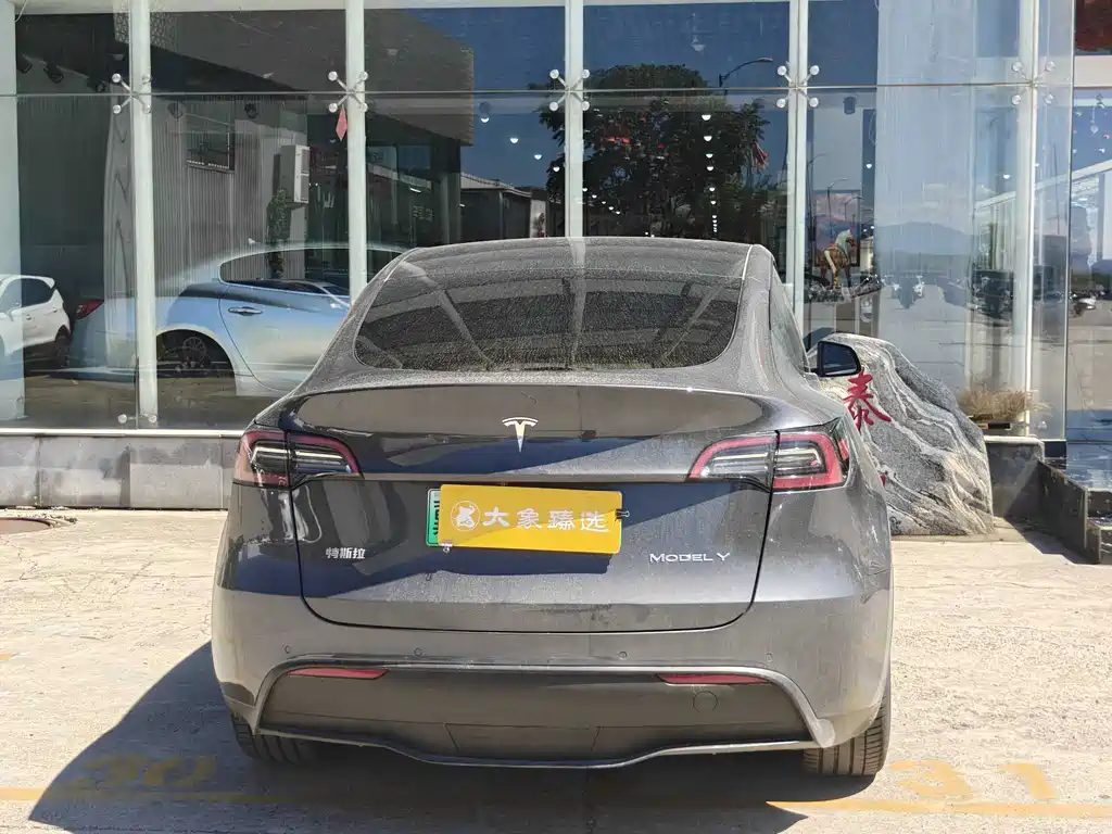 Tesla Model Y — миниатюра 13