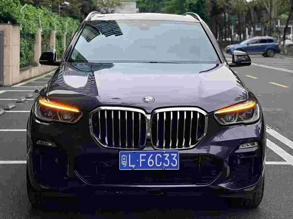 BMW X5 (Import) — миниатюра 2