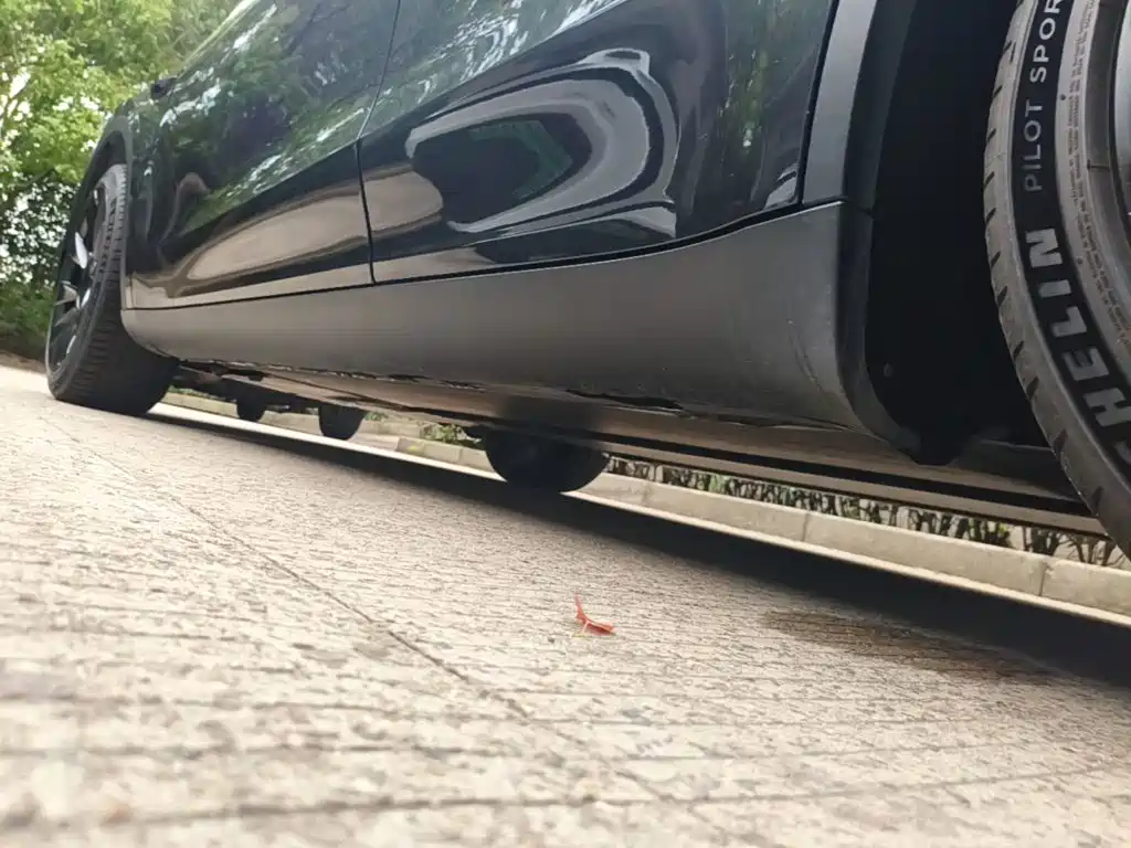 Tesla Model Y — миниатюра 22