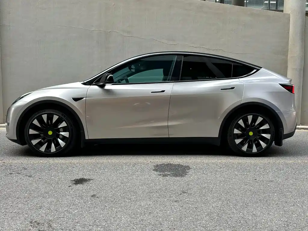 Tesla Model Y — миниатюра 3