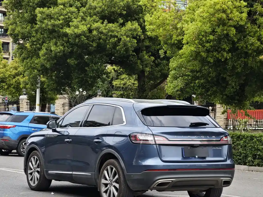 LINCOLN NAVIGATOR (IMPORT)