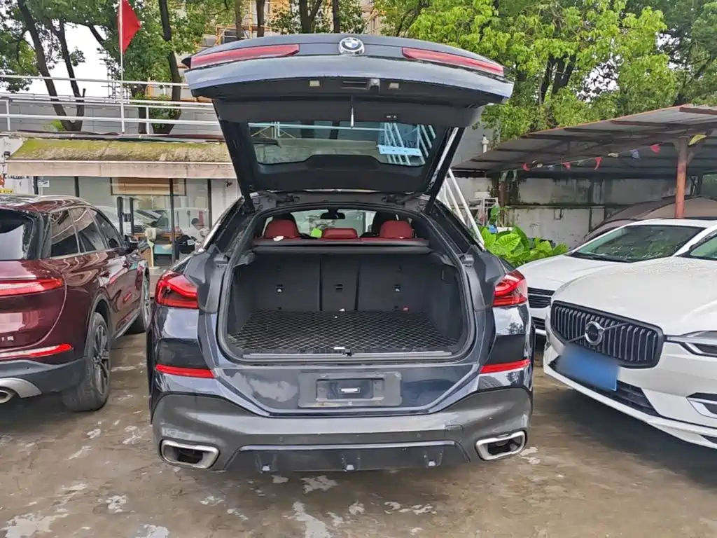 BMW X6 — миниатюра 19