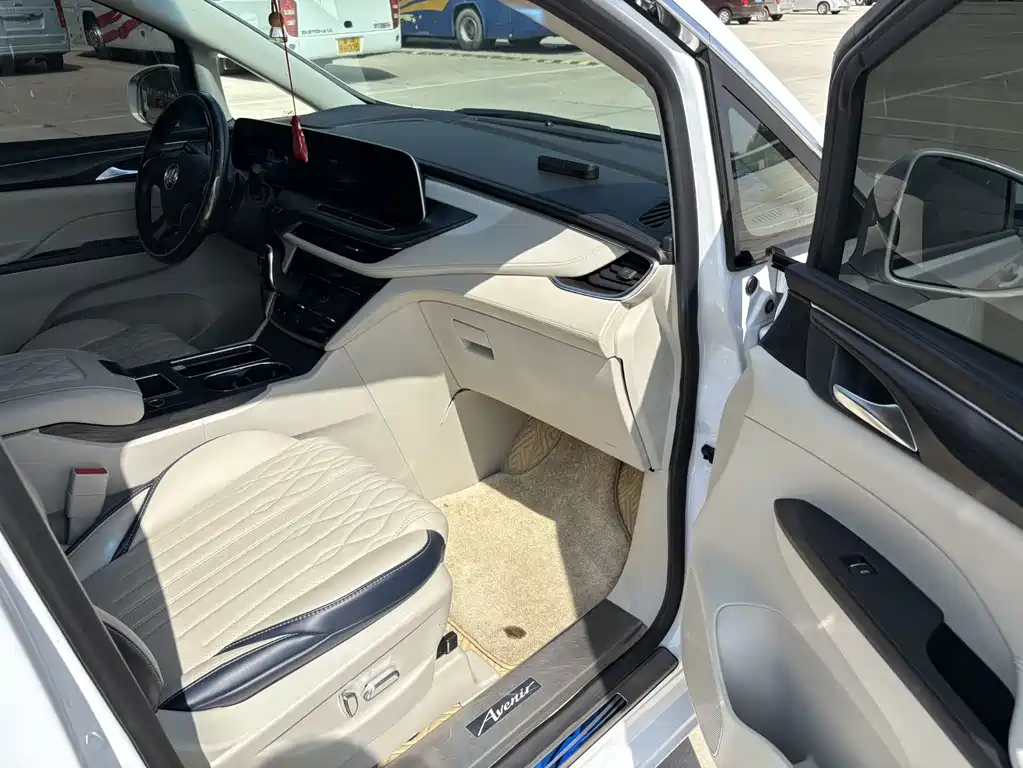 Buick GL8 — миниатюра 15