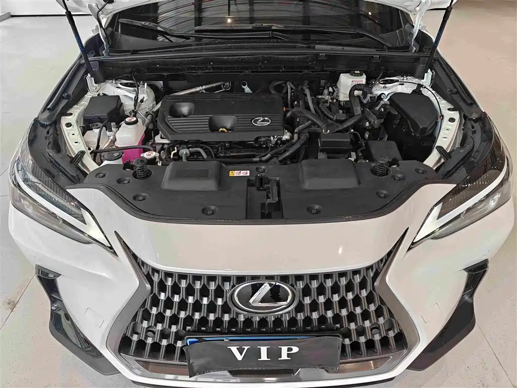 Lexus NX — миниатюра 16