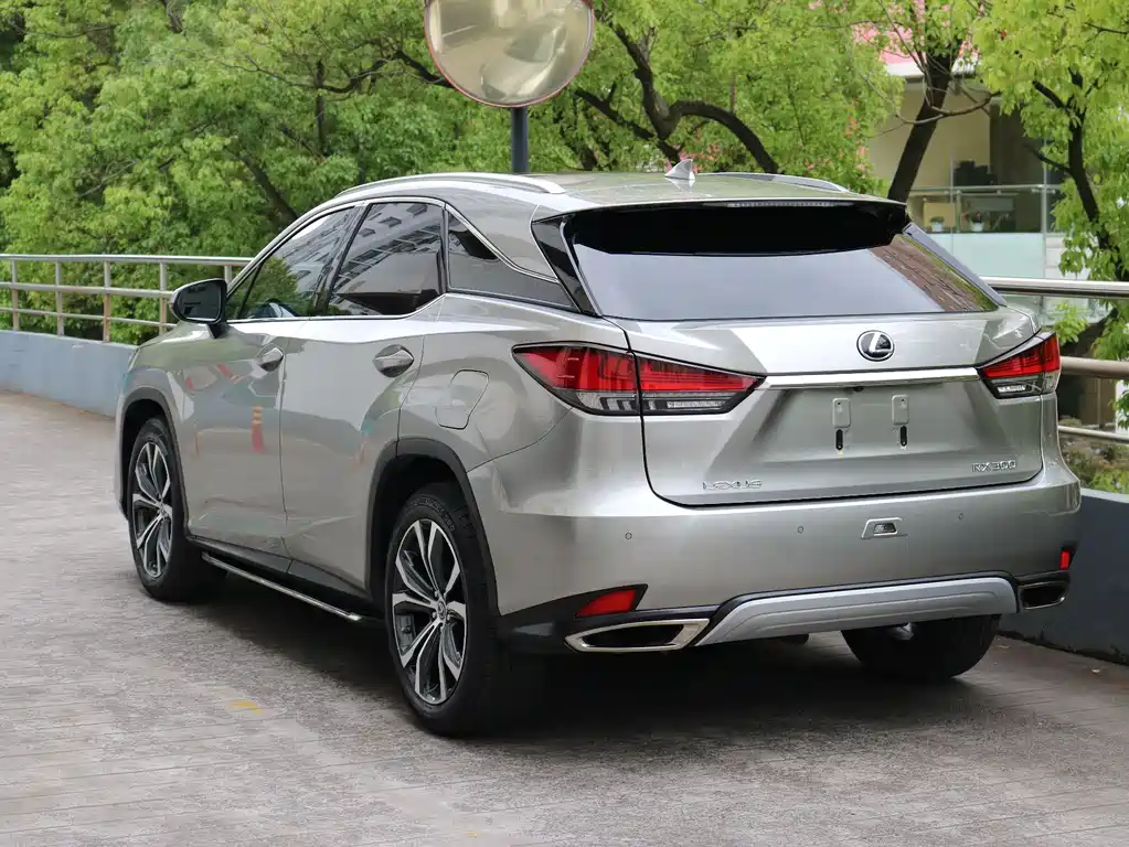Lexus RX - фото 3