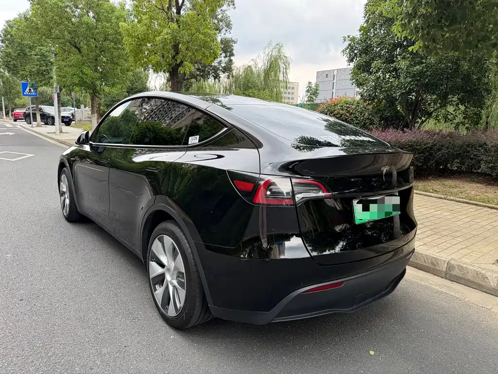 Tesla Model Y — миниатюра 16