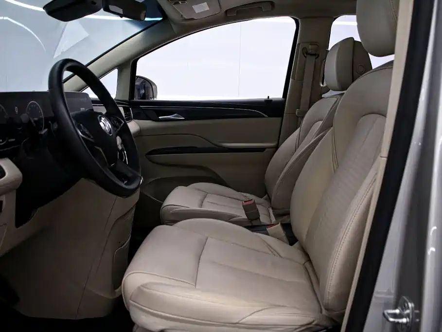 Buick GL8 — миниатюра 12