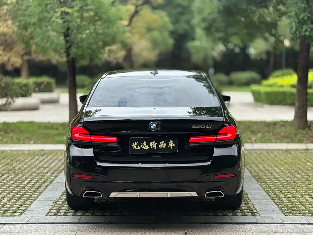 BMW 5 Series 5 2022 530Li Lead M Sport