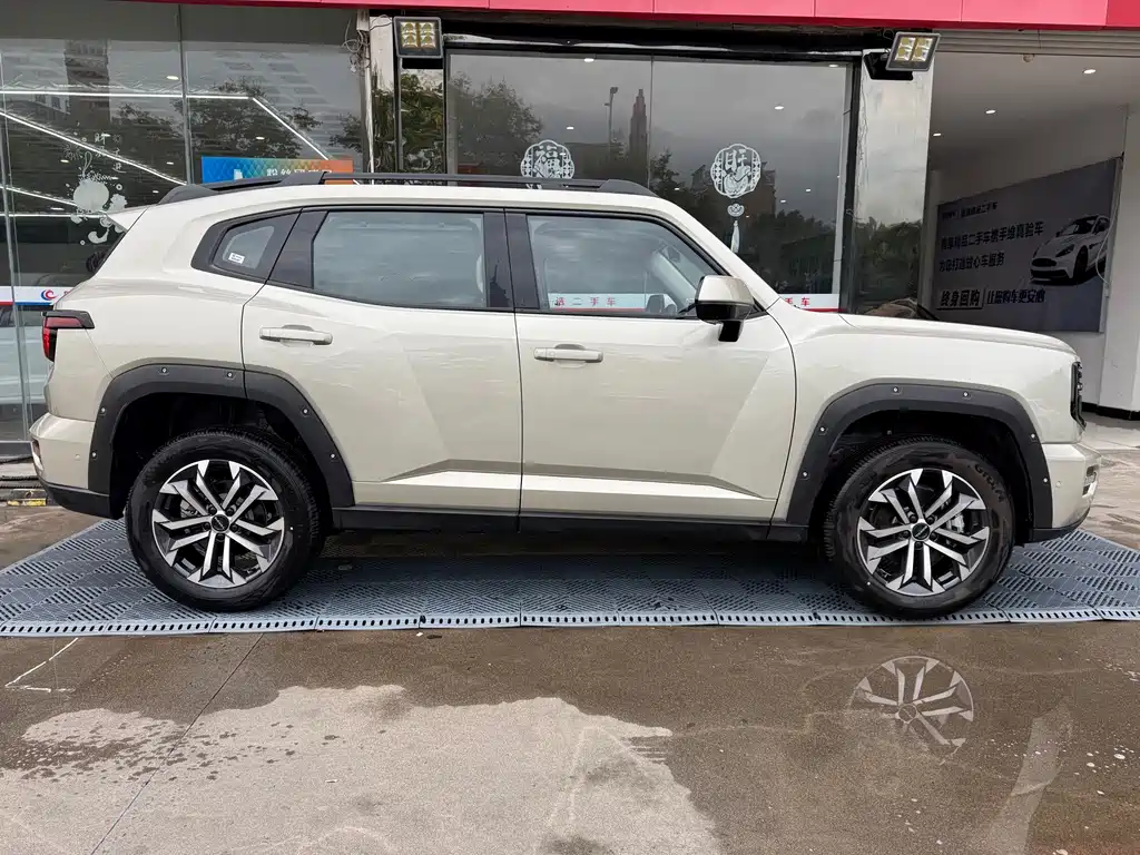 Haval Big Dog PLUS — миниатюра 6